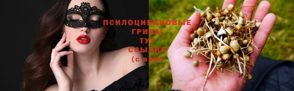скорость Алексин