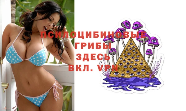 скорость Алексин